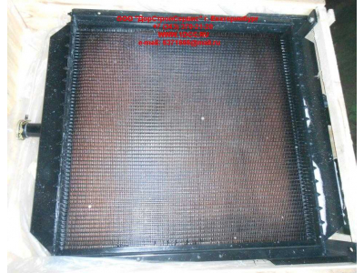 Радиатор охлаждения двигателя CDM 855EK Lonking CDM (СДМ) CDM855EK.01I.04 фото 1 Волгоград