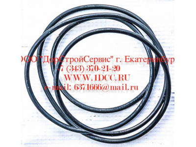 Кольцо уплотнительное ø338х3.55 гидромуфты ГТР CDM 833 Lonking CDM (СДМ) ø338х3.55 фото 1 Волгоград
