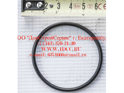 Кольцо уплотнительное ø346х3.5 гидромуфты ГТР CDM 855, 843 Lonking CDM (СДМ) 402236 фото 1 Волгоград