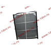 Радиатор WP10 SH SHAANXI / Shacman (ШАНКСИ / Шакман) DZ9112539268 фото 2 Волгоград