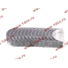 Вкладыши коренные стандарт +0.00 (14шт) LONGGONG CDM833 Lonking CDM (СДМ) 13034908/13034916 фото 2 Волгоград